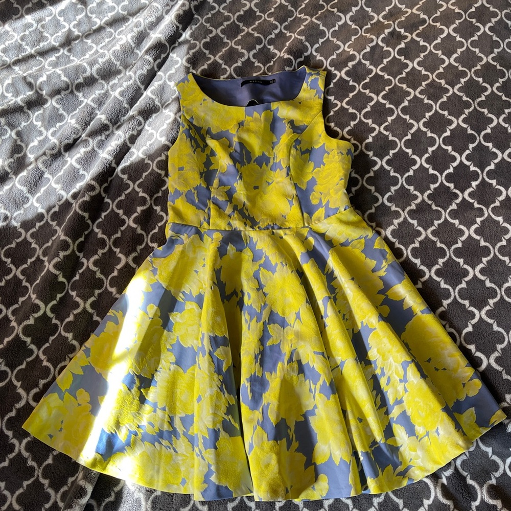 Like New Ark & Co. (Modcloth) Fit & Flare Dress